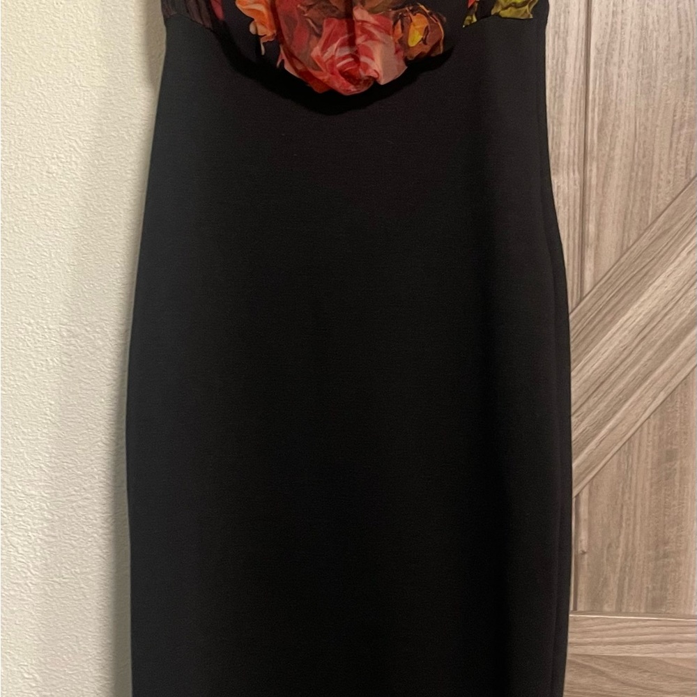 Ted Baker dress women’s size 2